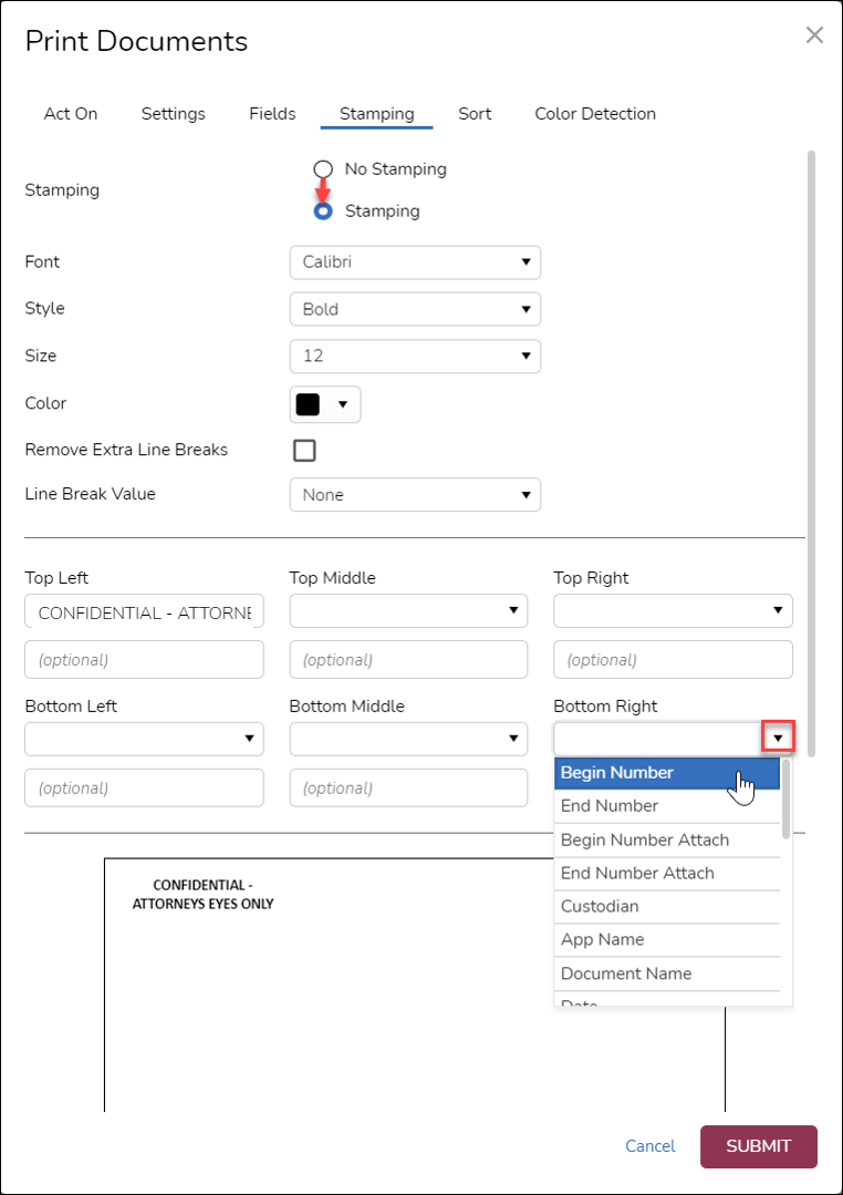 119 - 03a - Print Documents Stamping Options-1