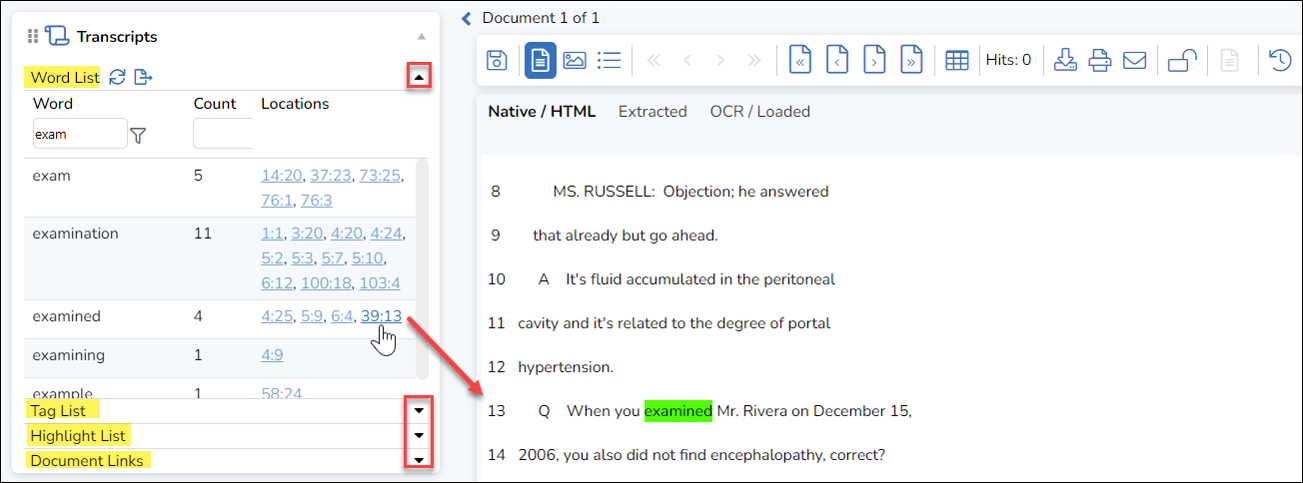 133 - 06 - Transcripts Review Pane