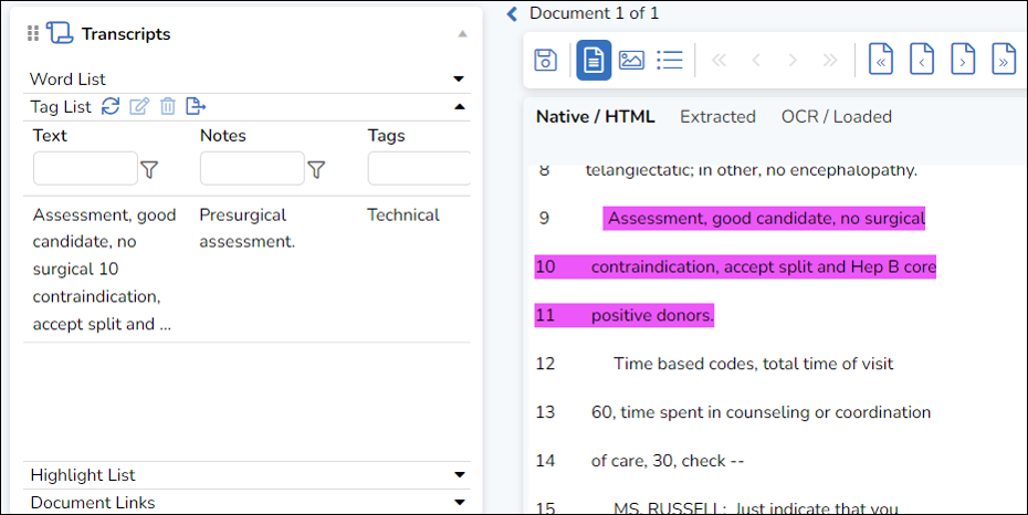 133 - 06b - Transcripts Review Pane - Tag List