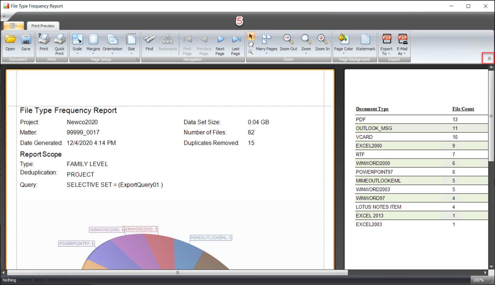 161 - 02 - Report Window