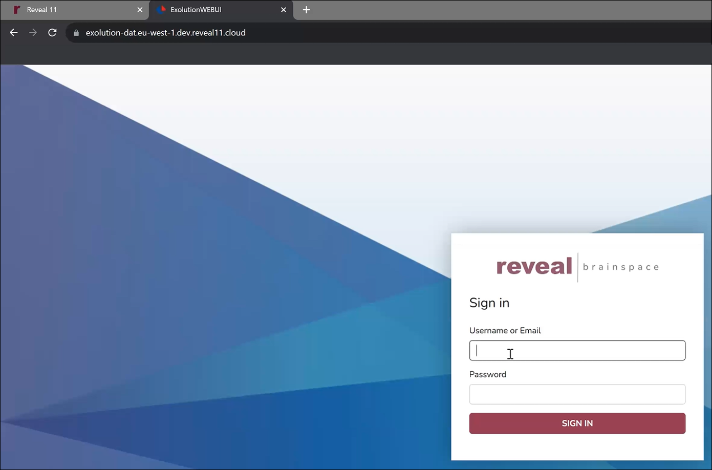 189 - 01 - Exolution Reveal Web Portal Login Screen