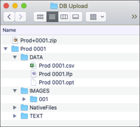 244 - 12 - Folder Structure