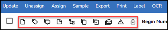 74 - 02cc - Project Settings - Default User Settings - Review Icons detail