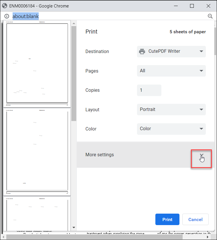 49 - 04 - PDF Viewer Print Settings01